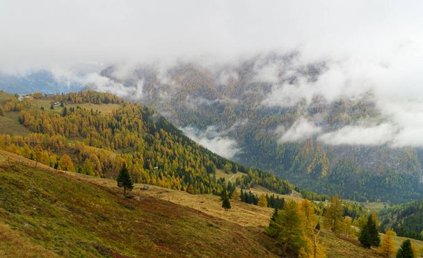 Belles couleurs d'automne colorées dans les Alpes - Photo, image