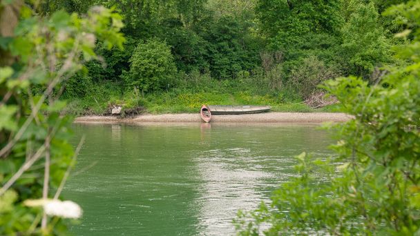 Un colpo basso angolo di canne sul fiume verde - Foto, immagini