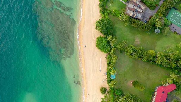 ヤシの木があるハワイのビーチのエーリアンビュー - 写真・画像