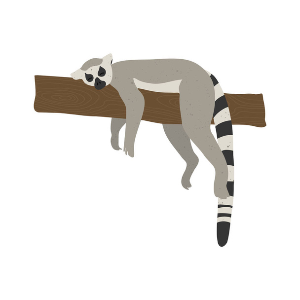 Cute funny lemur on an isolated white background. - Wektor, obraz