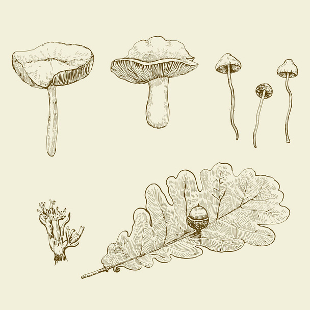 Vintage set of ink drawn mushrooms and leaves - ベクター画像