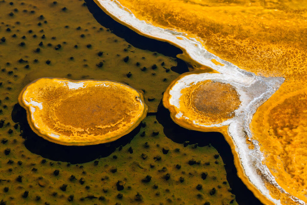 A unique formation of yellow and white bacterial growth floating on shallow thermal water and casting a shadow over small bumps underneath the surface. - Photo, Image