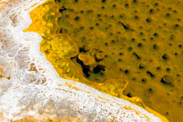 Ένας μοναδικός σχηματισμός κίτρινης και λευκής βακτηριακής ανάπτυξης που επιπλέει σε ρηχά ιαματικά νερά και ρίχνει μια σκιά πάνω από μικρά εξογκώματα κάτω από την επιφάνεια. - Φωτογραφία, εικόνα