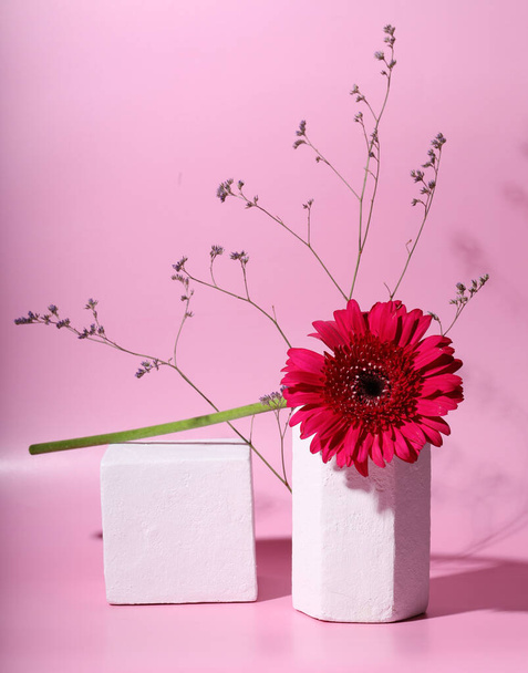 fiore di gerbera rosso su natura morta moderna - Foto, immagini