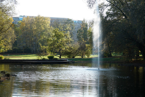 A closeup shot of a pond with a fountain - Foto, imagen
