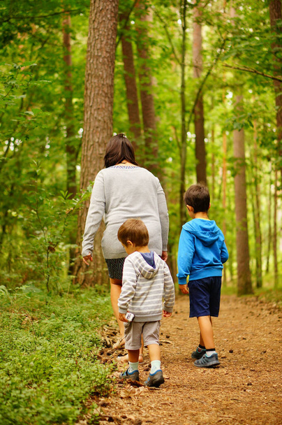 TLEN, POLAND - Aug 19, 2020: Woman and two small boys walking on a footpath of a forest - Photo, Image