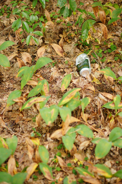 TLEN, POLAND - Aug 18, 2020: Empty beer can laying on the ground in a forest - Fotó, kép