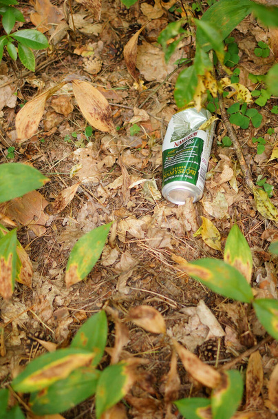 TLEN, POLAND - Aug 18, 2020: Empty beer can laying on the ground in a forest - Fotografie, Obrázek