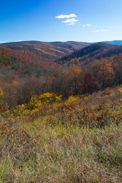 A vertical shot of forests and hills  in the autumn - Foto, immagini