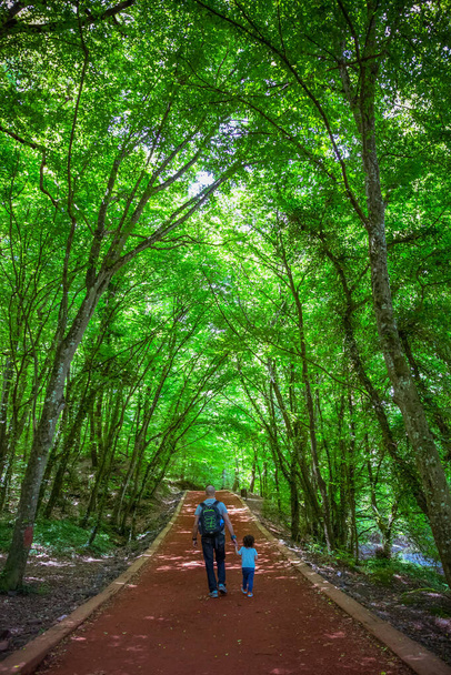 Padre llevando una mochila y un hijo tomados de la mano, caminando juntos en un camino en el bosque, Bosque de Belgrado, Estambul, Turquía - Foto, Imagen