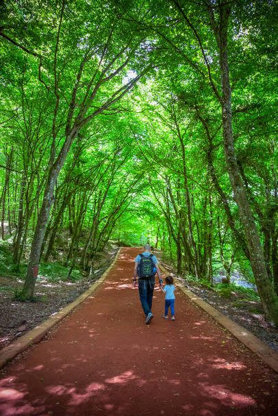 Padre llevando una mochila y un hijo tomados de la mano, caminando juntos en un camino en el bosque, Bosque de Belgrado, Estambul, Turquía - Foto, Imagen