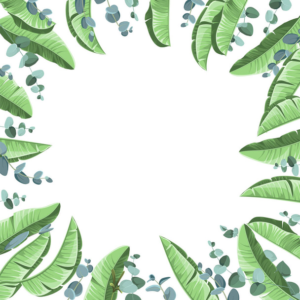 Tropical background with banana leaves and eucalyptus. Vector illustration - ベクター画像