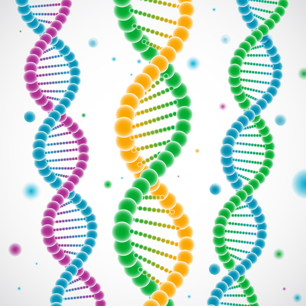 Hilos coloridos de ADN
 - Vector, imagen