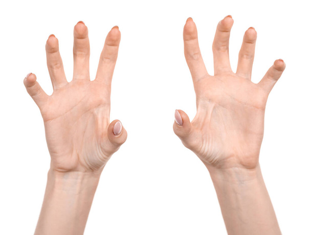 Las manos caucásicas femeninas aisladas fondo blanco mostrando gesto muestra garras y uñas. manos de mujer mostrando diferentes gestos - Foto, imagen