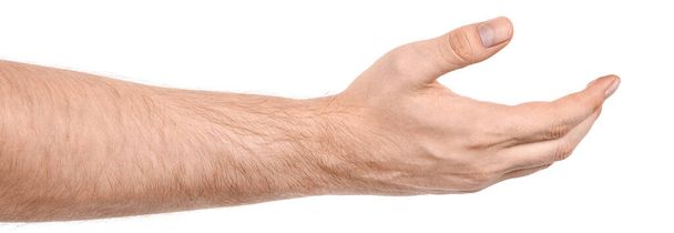 Mannelijke blanke handen geïsoleerde witte achtergrond tonen gebaar houdt iets of neemt, geeft. mannenhanden met verschillende gebaren - Foto, afbeelding
