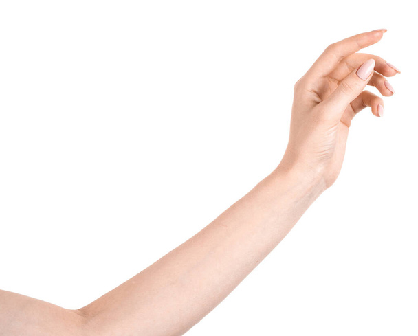 Las manos caucásicas femeninas aisladas fondo blanco mostrando gesto sostiene algo o toma, da. manos de mujer mostrando diferentes gestos - Foto, imagen