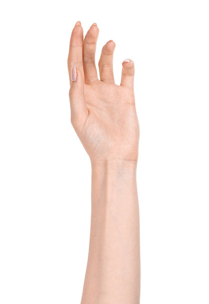 Mãos caucasianas femininas isolado fundo branco mostrando gesto detém algo ou leva, dá. mãos de mulher mostrando gestos diferentes - Foto, Imagem