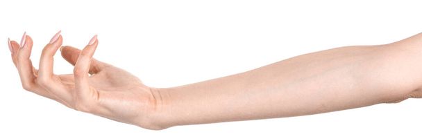 Weibliche kaukasische Hände isoliert weißen Hintergrund zeigt Geste hält etwas oder nimmt, gibt. Frauenhände zeigen unterschiedliche Gesten - Foto, Bild