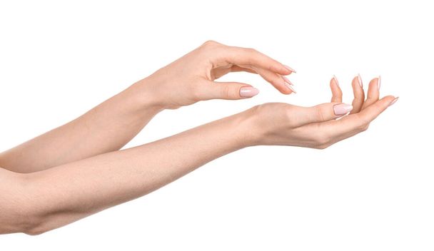Žena běloch ruce izolované bílé pozadí ukazující gesto drží něco, nebo bere, dává. žena ruce ukazující různá gesta - Fotografie, Obrázek