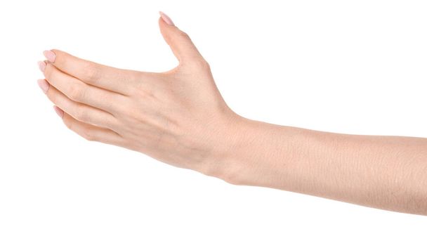 Nő kaukázusi kéz elszigetelt fehér háttér mutató gesztus tart valamit, vagy elvesz, ad. nő kezek mutató különböző gesztusok - Fotó, kép