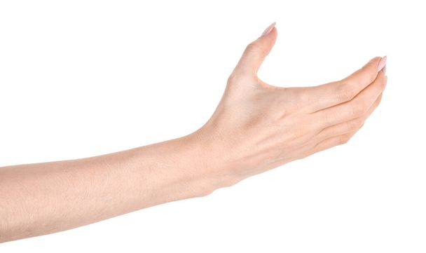 Kobieta kaukaskie ręce odizolowane białe tło pokazując gest trzyma coś lub bierze, daje. kobiece dłonie wykazujące różne gesty - Zdjęcie, obraz