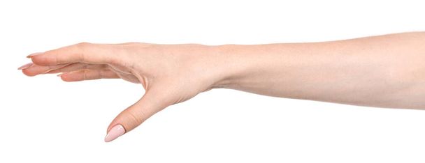 Las manos caucásicas femeninas aisladas fondo blanco mostrando gesto sostiene algo o toma, da. manos de mujer mostrando diferentes gestos - Foto, imagen