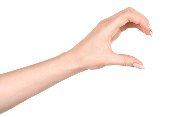 Las manos caucásicas femeninas aisladas fondo blanco mostrando gesto sostiene algo o toma, da. manos de mujer mostrando diferentes gestos - Foto, Imagen