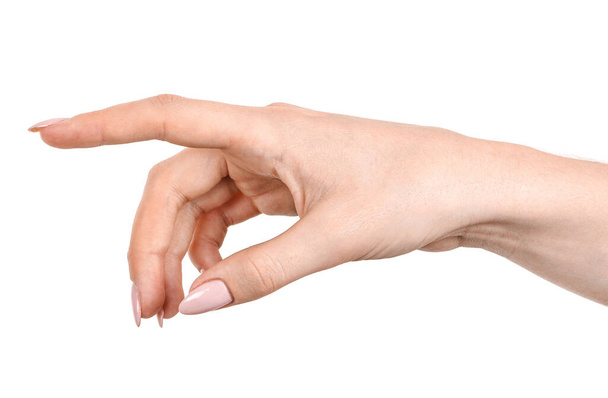 女性の白人女性の手は、ジェスチャーが何かまたは誰かに指を指すことを示す白い背景を隔離した。異なるジェスチャーを示す女性の手は - 写真・画像