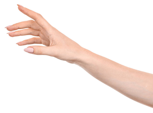 Weibliche kaukasische Hände isoliert weißen Hintergrund zeigt Geste zeigt den Finger auf etwas oder jemanden. Frauenhände zeigen unterschiedliche Gesten - Foto, Bild