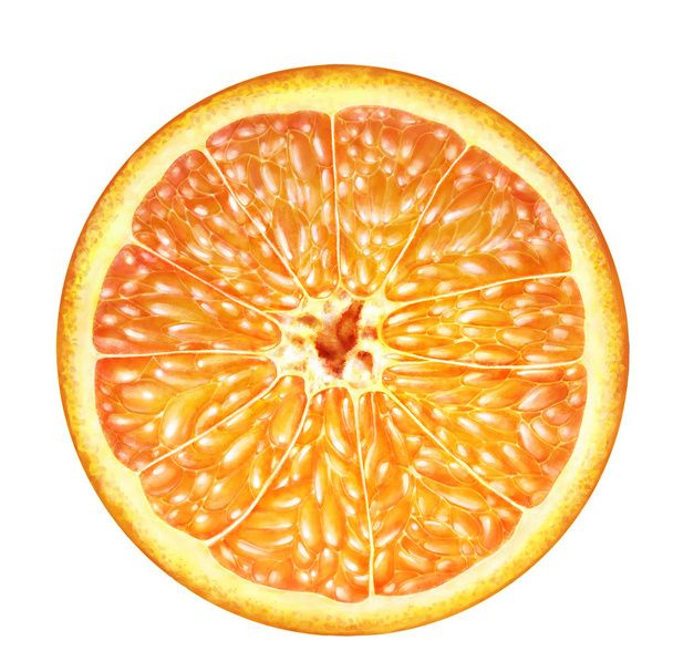 Juicy orange cross section , transection of orange on white background , fruits - Fotoğraf, Görsel