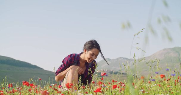 Smiling woman smelling and picking flowers from field.Front view,medium shot,slow motion.Crouched smiling woman among red flowers outdoor. Sunny weather - Foto, immagini