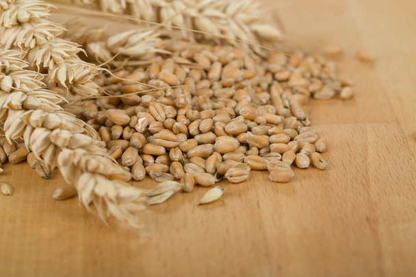 купа органічних цілих зернових ядер пшениці і вух
 - Фото, зображення