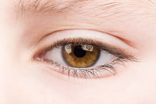 підліток очей макросу
 - Фото, зображення