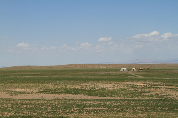 The Desert Gobi of Mongolia - Фото, изображение