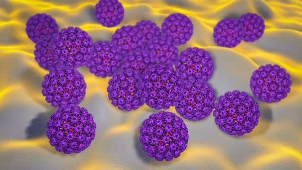 Wirus brodawczaka ludzkiego, wirus, który powoduje brodawki zlokalizowane głównie na rękach i stopach, niektóre szczepy infekują narządy płciowe i może powodować raka szyjki macicy, ilustracja 3D - Zdjęcie, obraz