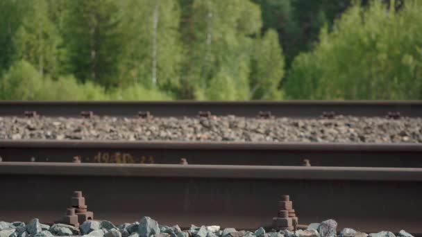 Video di donna che cammina su ferrovia in estate - Filmati, video