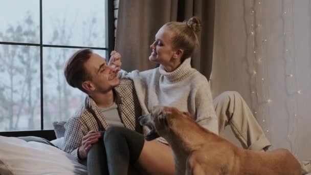 New Year. Young Couple In Cozy Apartment. Couple And Their Dog In Bed. - Felvétel, videó