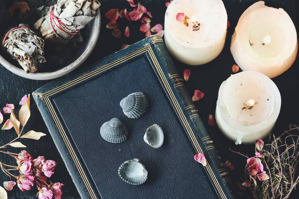 Divination using sea shells in hoodoo witchcraft practice on wiccan witch altar. Four seashells laying on blue vintage book with candles, dried herbs, flowers, sage smudge sticks in black background - Photo, Image
