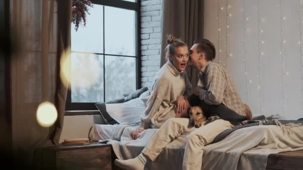 New Year. Young Couple In Cozy Apartment. Couple And Their Dog In Bed. - Video, Çekim