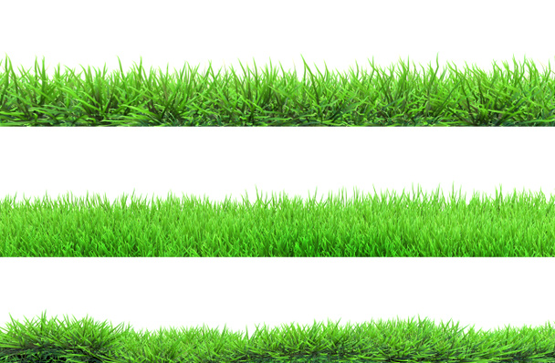 Gras geïsoleerd - Foto, afbeelding