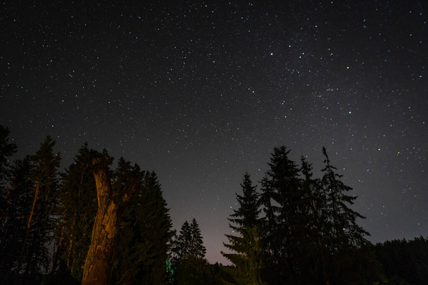 Dramatic night summer landscape. Forest against the starry sky - Foto, Bild