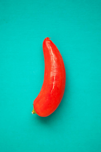 One red chili pepper on the turquois background - Foto, Imagem