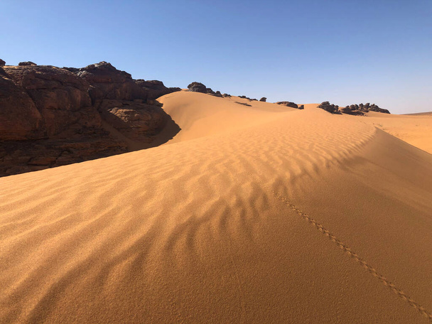 Дюна, пейзажна пустеля в західній Сахарі
 - Фото, зображення