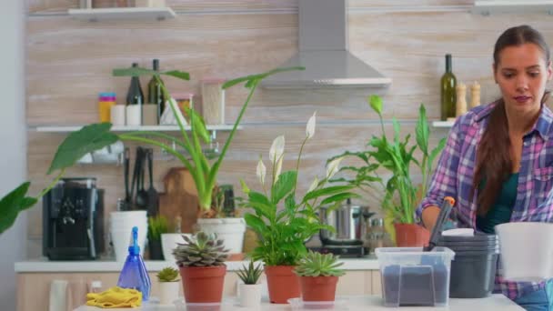 Femme au foyer mettant des pots de fleurs sur la table - Séquence, vidéo