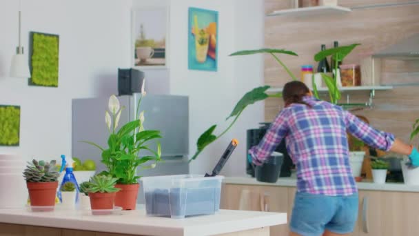 Kukkaruukkujen tuominen työpöydälle - Materiaali, video