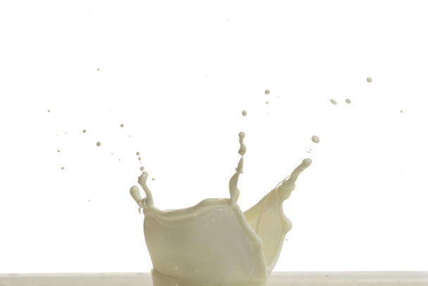 Gotita de salpicadura de leche aislada sobre fondo blanco - Foto, imagen