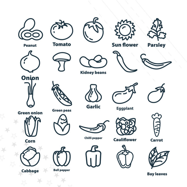 vegetables line icon set with cucumber, garlic, bay leaves, eggplant, green peas, bell pepper, chili pepper, onion, parsley, tomato - Vector, Image
