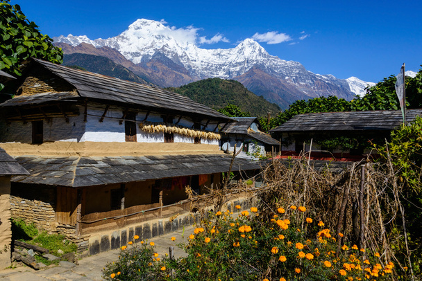 annapurna bölgesindeki ghandruk Köyü - Fotoğraf, Görsel