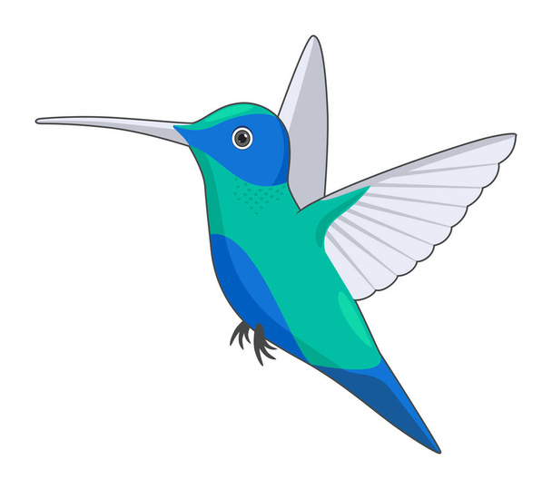 Kolibri auf weißem Hintergrund. Vektorillustration im Cartoon-Stil - Vektor, Bild