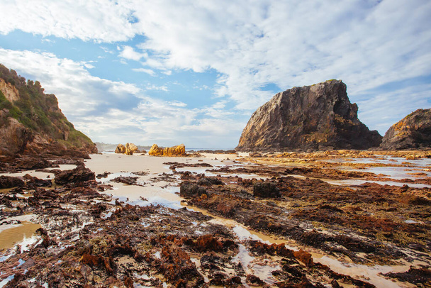 Skleníkové skály Beach v Narooma Austrálie - Fotografie, Obrázek